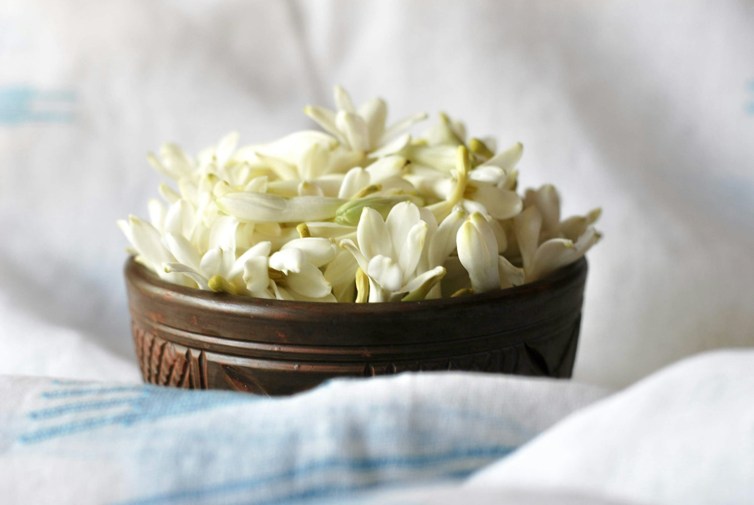 Les fleurs emblématiques de la parfumerie : symboles d’élégance et de caractère