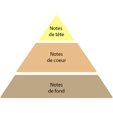 Quelles ont les 3 notes d'un parfum ?