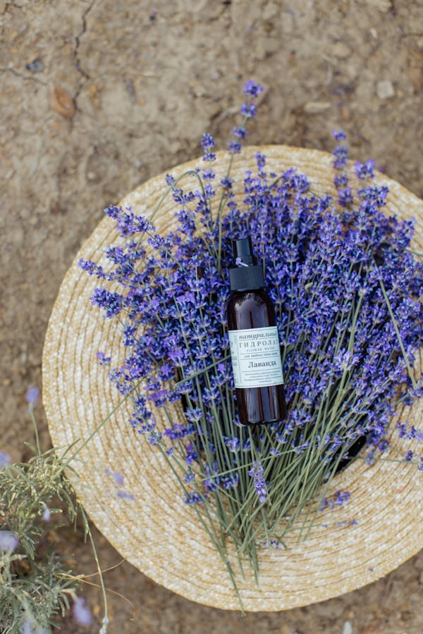 Terre et sillage : L’influence des éléments naturels sur les fragrances