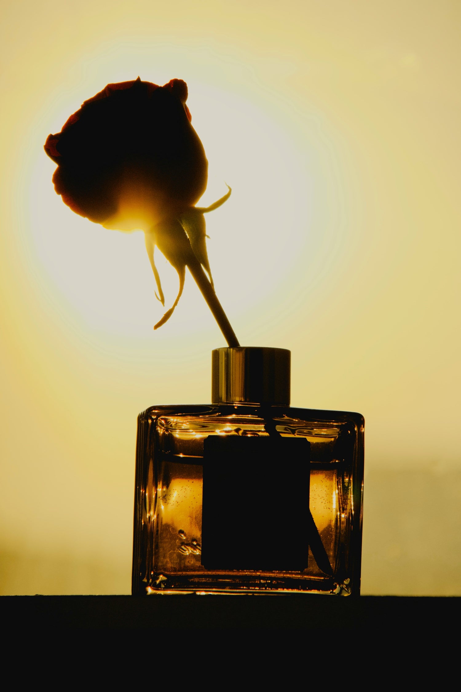 Peut-on porter un parfum différent le jour et le soir ?