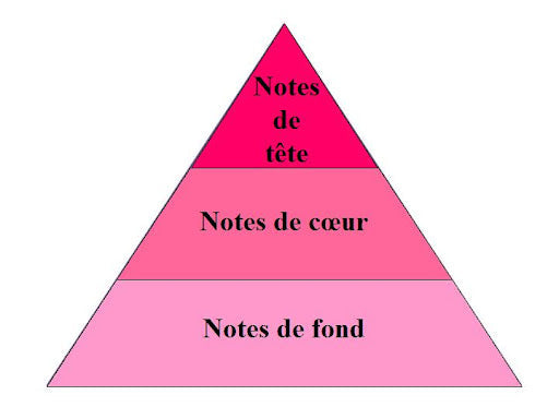 Quelles sont les 3 notes d'un parfum ?
